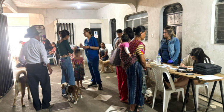 Vacunan y desparasitan a más de 200 animales en Sacatepéquez