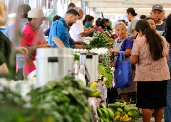 Vecinos de Fraijanes beneficiados con productos frescos en la Feria del Agricultor
