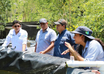 Viceministerios trabajan coordinados para impulsar producción en Petén