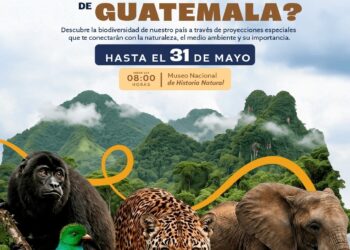 ¿Alguna vez te has detenido a observar todo lo que vive a tu alrededor?