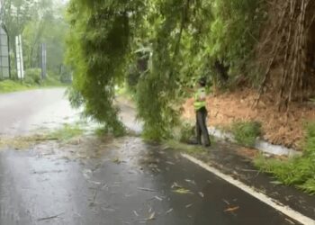 En carretera: Provial apoya en labores de emergencias por lluvias