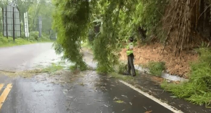 En carretera: Provial apoya en labores de emergencias por lluvias