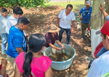 Capacitación en tilapia abre oportunidades reales para familias productoras