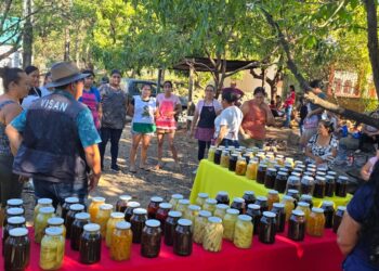 Comunidades transforman sus cosechas y cuidan el ambiente con proyectos productivos