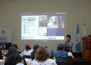 Diplomado fortalece atención institucional en bienestar animal