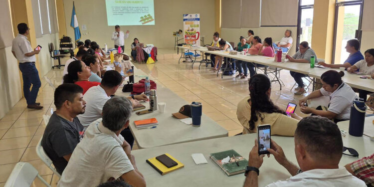 Centros educativos de Zacapa fortalecen conocimientos sobre huertos pedagógicos