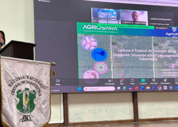 Productores y estudiantes fortalecen la prevención de cultivos de banano contra el Fusarium R4T