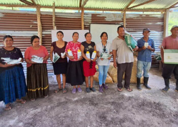 Entrega de insumos agrícolas fortalece producción de maíz en Petén