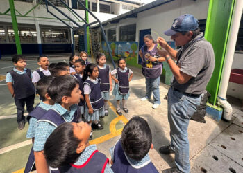Niños aprenden y cuidan los alimentos por medio de los huertos escolares