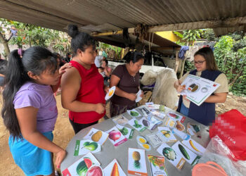 Impulsan alimentación saludable y huertos comunitarios en Suchitepéquez