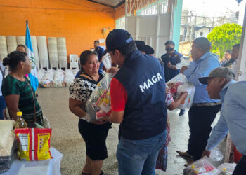 Alimentos llegan para fortalecer la alimentación en miles de hogares