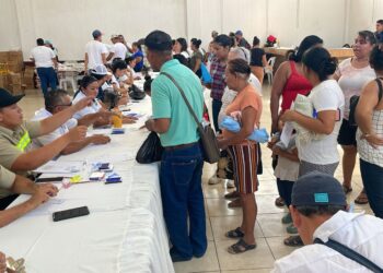 Más de 13 mil familias reciben alimentos por participar en proyectos comunitarios