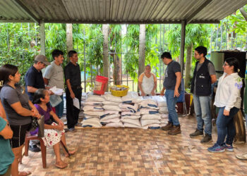 Semillas que representan oportunidad y alimento para las familias rurales