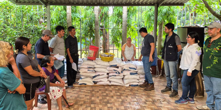 Semillas que representan oportunidad y alimento para las familias rurales