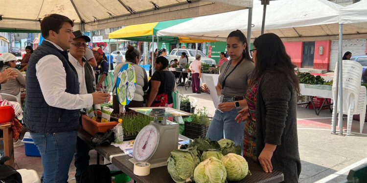 Semillas de aprendizaje y producción en feria agrícola en Sacatepéquez