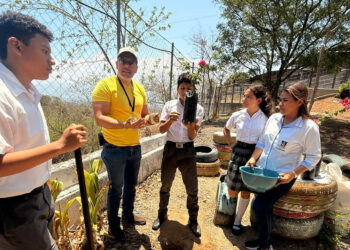 Estudiantes transforman entorno escolar con plantas ornamentales