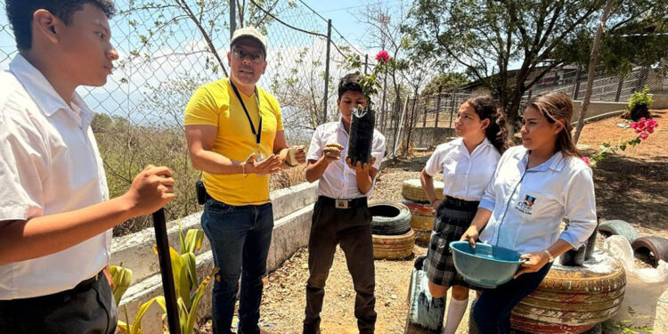 Estudiantes transforman entorno escolar con plantas ornamentales