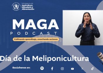 MAGA Podcast: Día de la Meliponicultura
