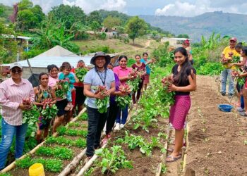 Familias agricultoras y cultivos estratégicos recibirán apoyo ante riesgo de sequía en 2026