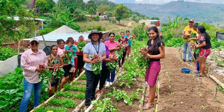 Familias agricultoras y cultivos estratégicos recibirán apoyo ante riesgo de sequía en 2026