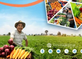 El sabor del campo llega a Zacapa