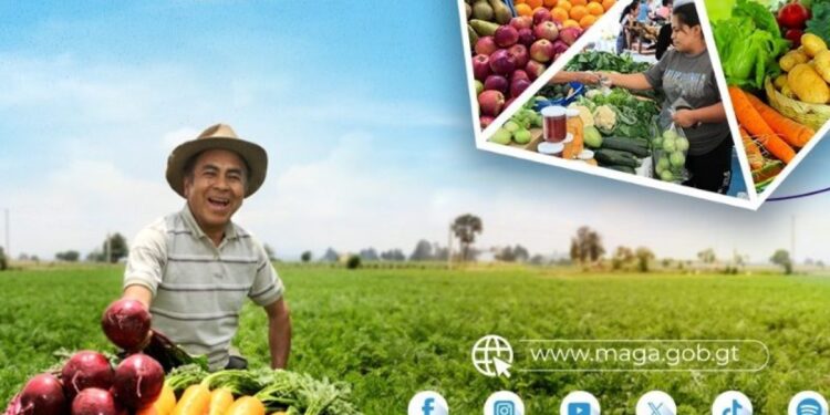 El sabor del campo llega a Zacapa
