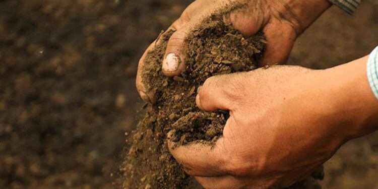 Día de la Lucha contra la Desertificación y la Sequía