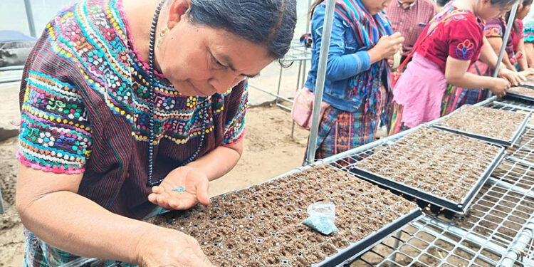 Impulsan proyectos de riego e infraestructura para reducir riesgos climáticos