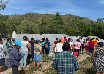 Agricultores diversifican su alimentación gracias a la cosecha del huerto comunal