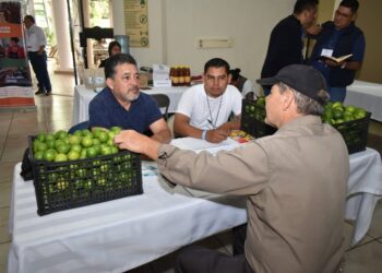 Agronegocios Costa Sur abrirá nuevas oportunidades para la región