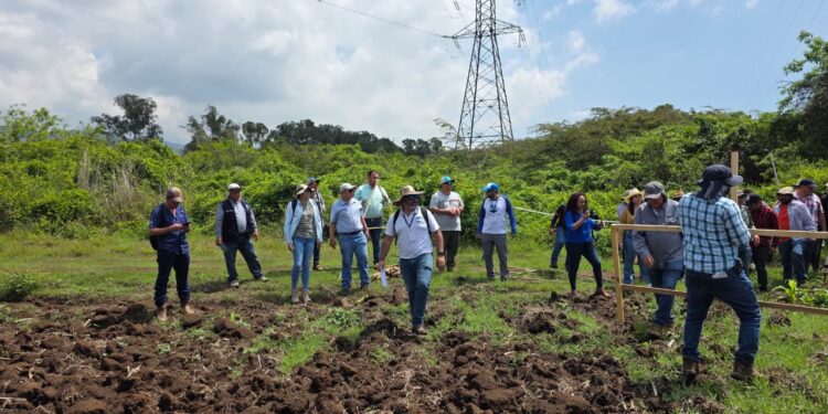 Aplican metodologías de campo para el manejo sostenible de suelos y agua