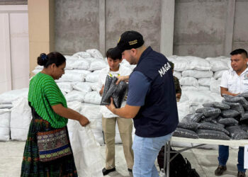 Beneficiadas más de 539 mil familias con asistencia alimentaria