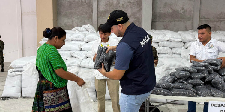 Beneficiadas más de 539 mil familias con asistencia alimentaria