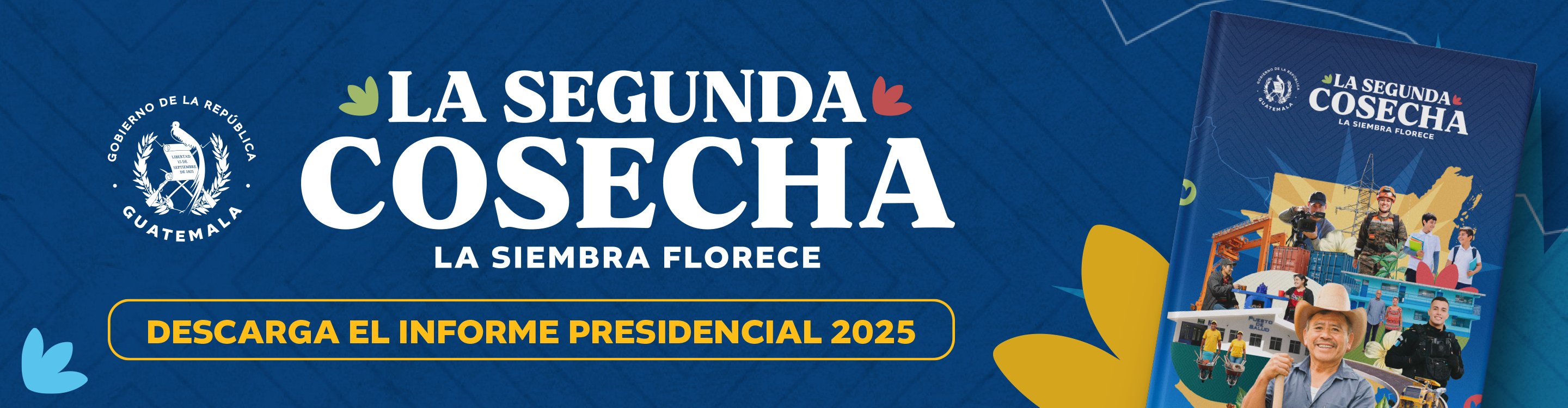 Segundo Informe