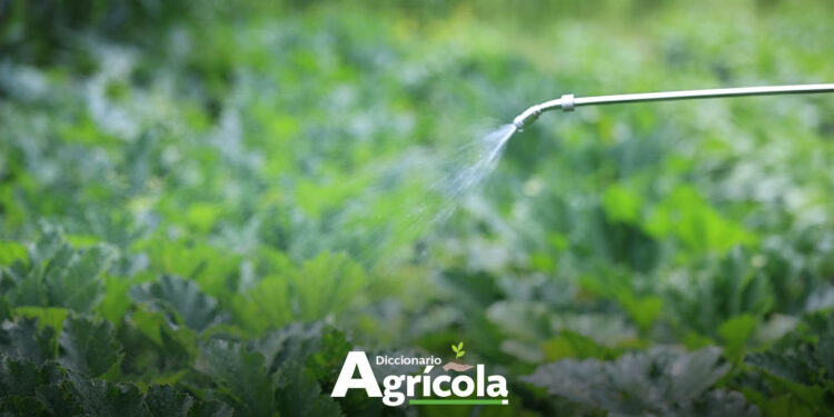 Diccionario Agrícola: Fertilización Foliar