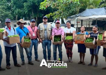 Diccionario Agrícola: Promotor Agrícola