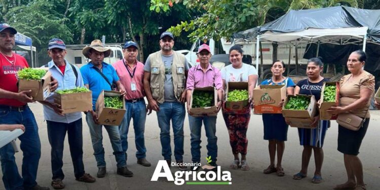 Diccionario Agrícola: Promotor Agrícola
