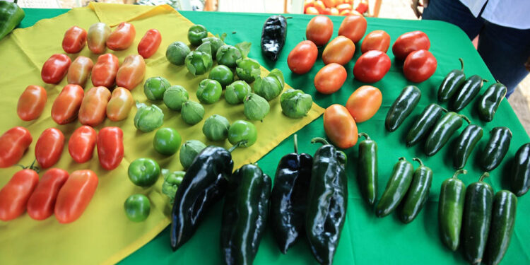 Impulsando la producción que nos alimenta