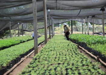 Proteger los recursos naturales: clave para el futuro de la agricultura