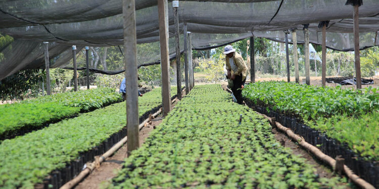 Proteger los recursos naturales: clave para el futuro de la agricultura