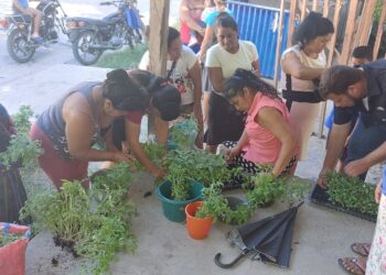 Entregan pilones a grupos del CADER de San Andrés