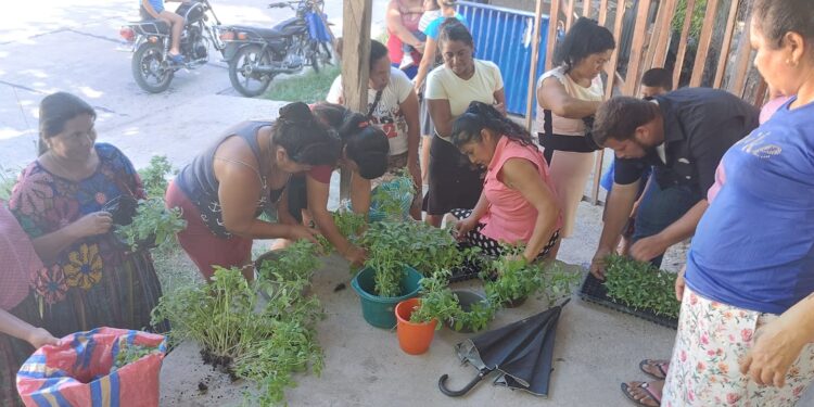 Entregan pilones a grupos del CADER de San Andrés