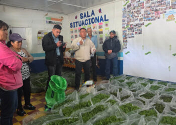 Entregan pilones de hortalizas para impulsar la seguridad alimentaria en San Marcos