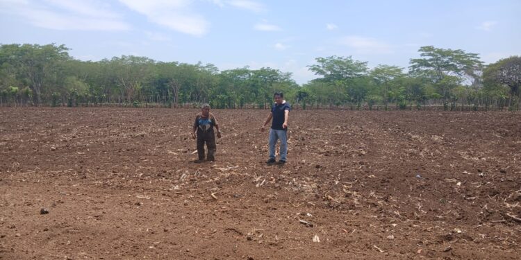 Evalúan pozo artesanal en Retalhuleu para optimizar el riego