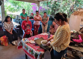 Elaboran sazonadores artesanales con plantas nativas