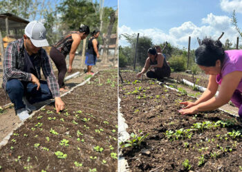 Fortalecen huerto comunitario en Jalapa para impulsar producción de hortalizas