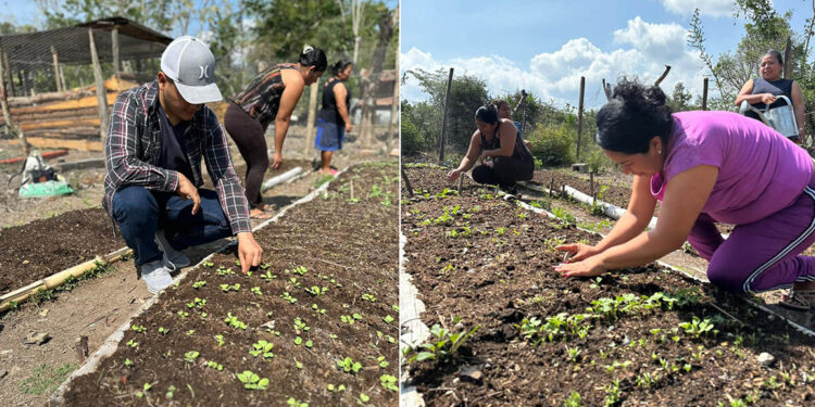 Fortalecen huerto comunitario en Jalapa para impulsar producción de hortalizas