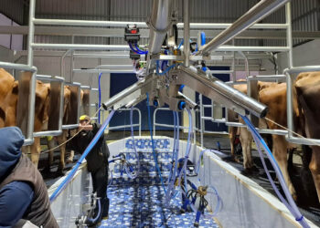 Crecen los controles de inocuidad y vigilancia sanitaria de la leche