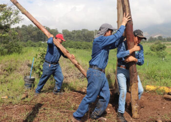 Futuros profesionales agrícolas potencian competencias en manejo de recursos forestales
