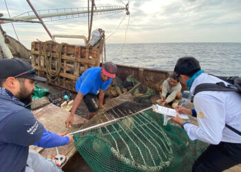 Guatemala fortalece controles para prevenir la pesca ilegal y proteger los recursos marinos